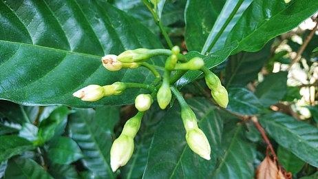 《恶意不息》抢先体验版时长15-25小时 游戏亮点很多